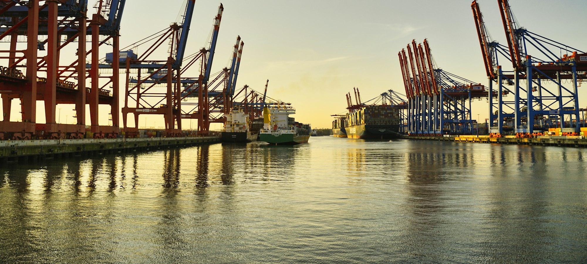 A row of ship-to-shore cranes along a container wharf.