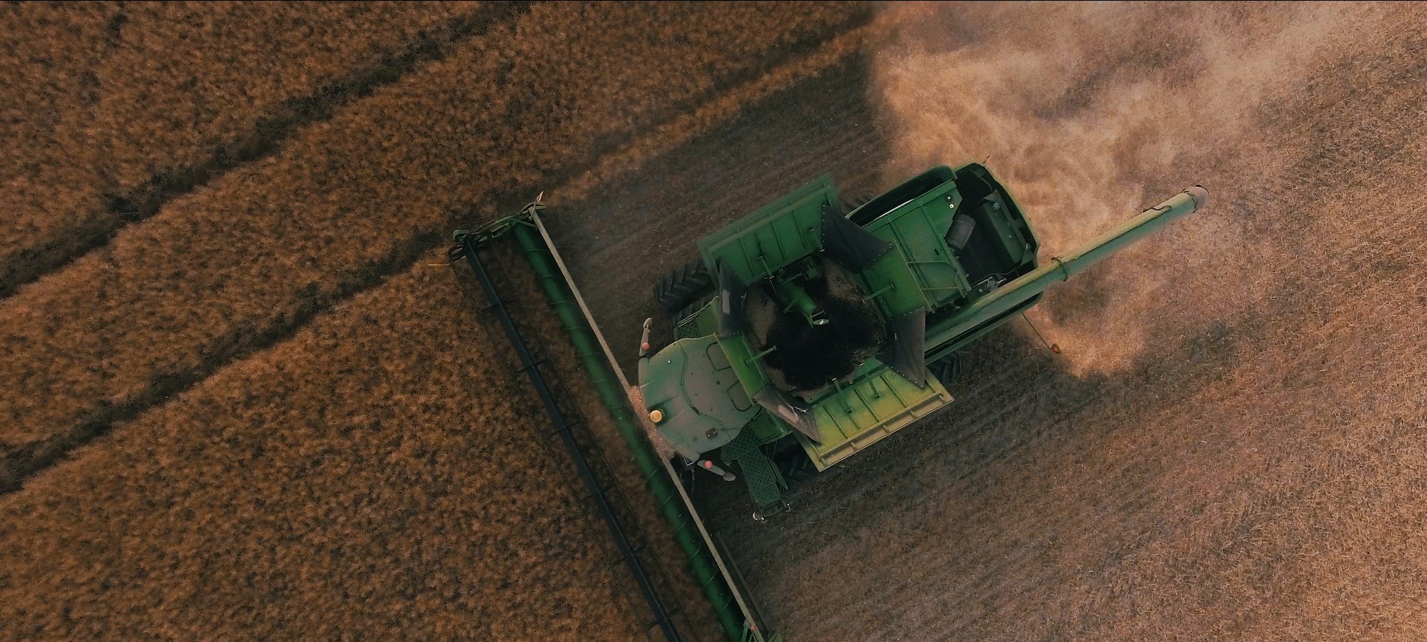 Header working a broadacre paddock at harvest.