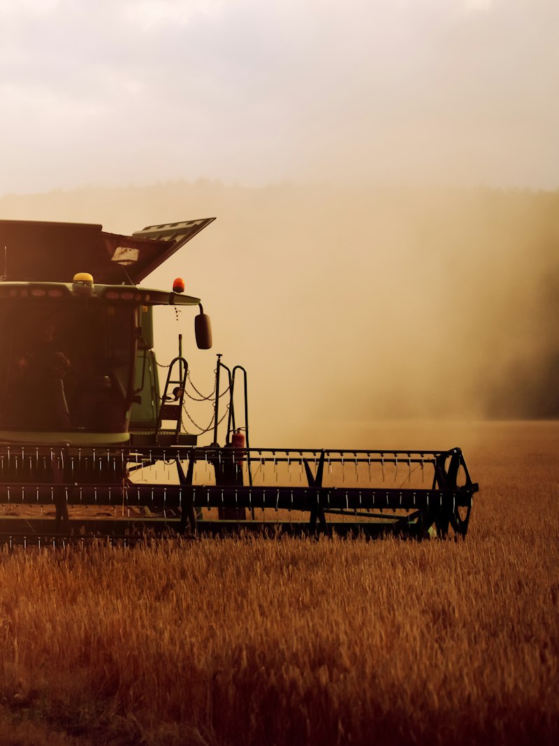 A harvester unloading grain into a chaser bin.